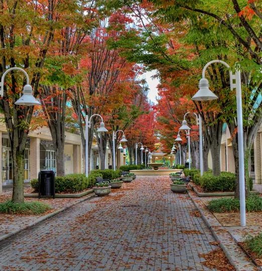 Licensed plumber providing expert plumbing services in Columbia, MD