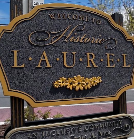 Professional plumber serving Laurel, MD